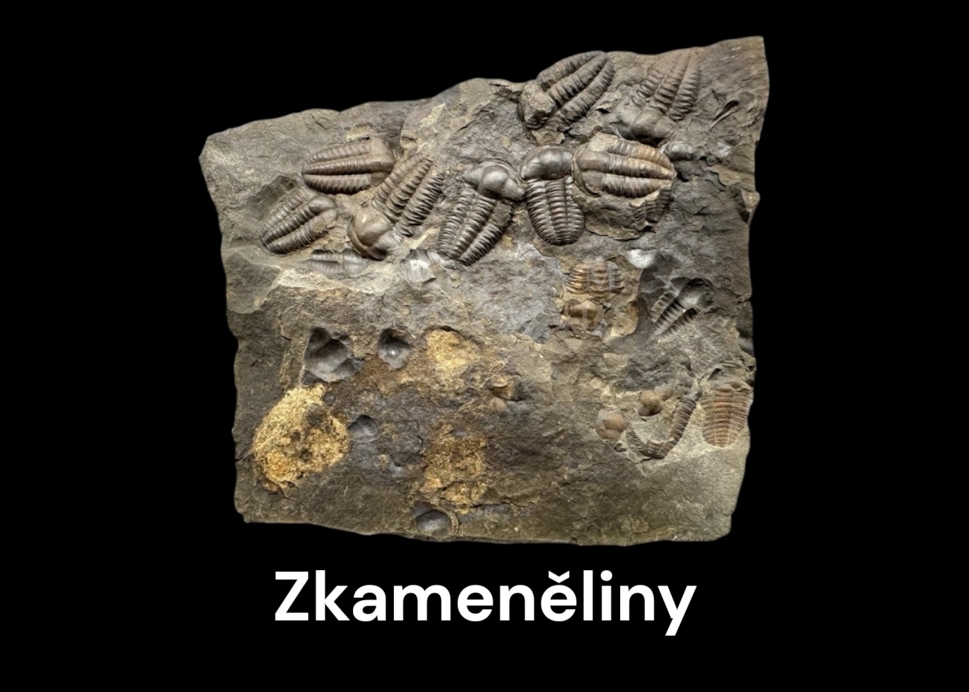 zkameneliny